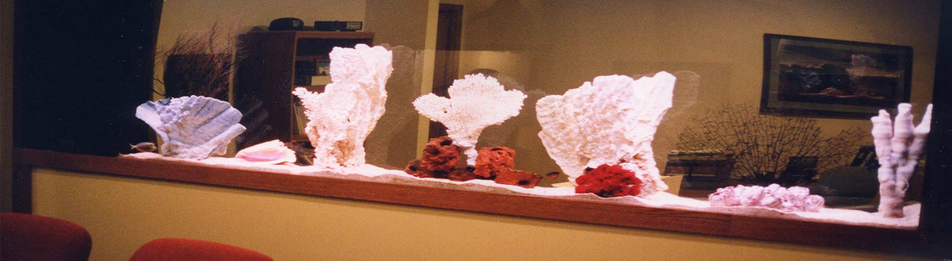 living art aquarium hours living art aquarium hours