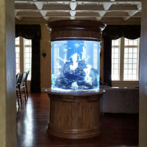 Custom Aquarium Design by Living Art Aquatics