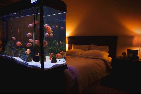 Creating Living Art Through Custom Fish Tank Placement