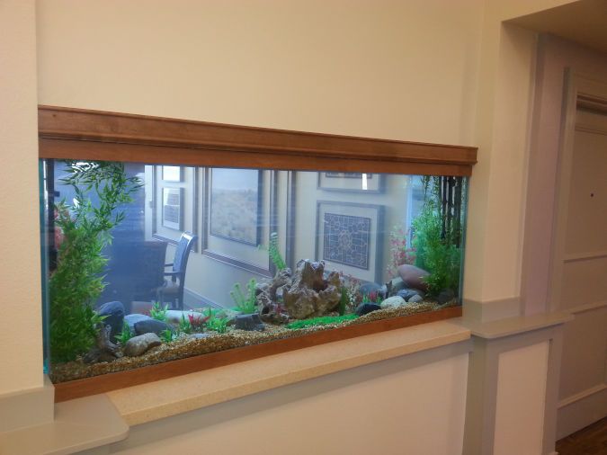 An image showing an aquarium inside the wall of an assisted living area.