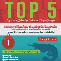 Infographic displaying our top picks for aquarium-related gift ideas.