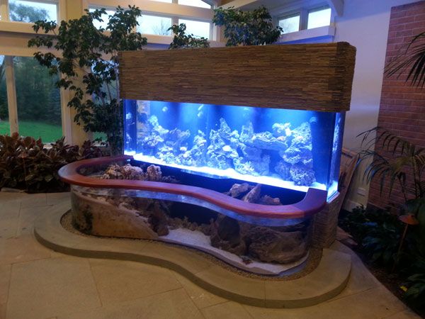 picture of a 900-gallon fish tank
