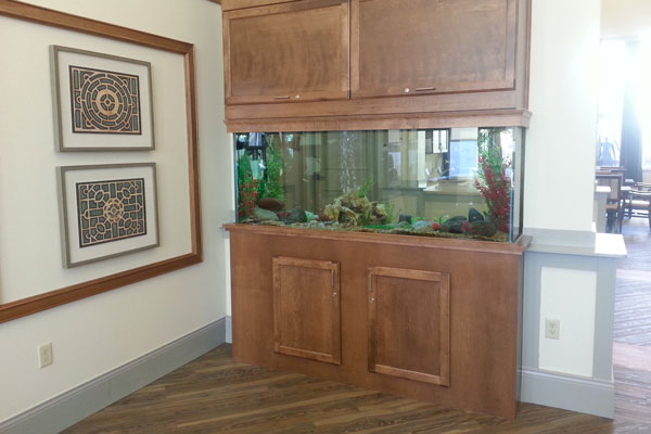 Picture of a commercial aquarium in an assisted living home. 
