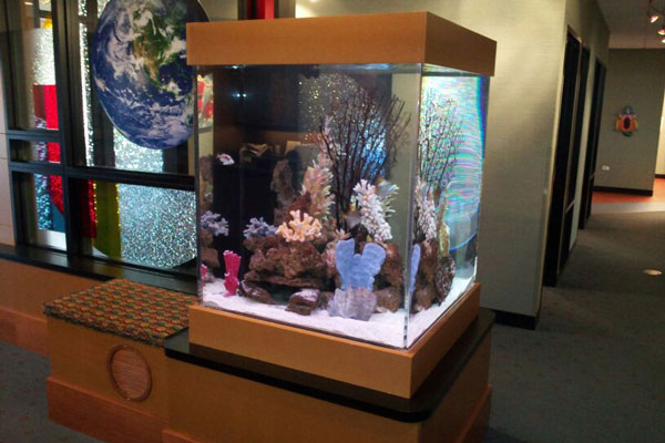 Picture of a commercial aquarium in a dentist office lobby.