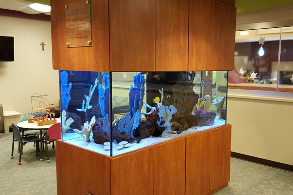 Picture of a commercial aquarium in a doctor's office.