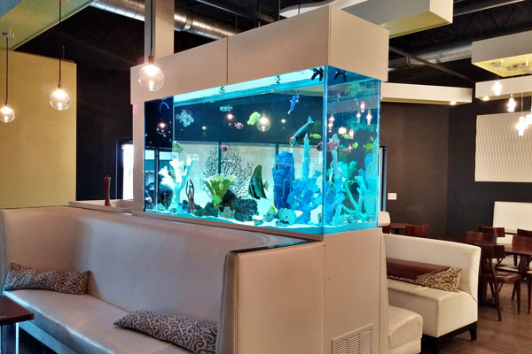 Picture of a commercial aquarium in a restaurant. 