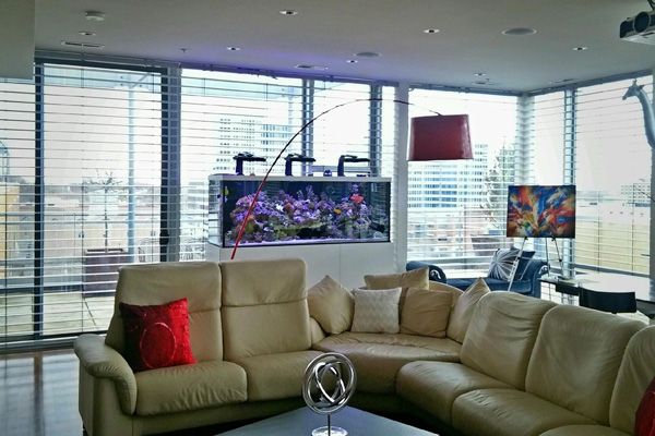 Picture of a home aquarium situated in a living room. 