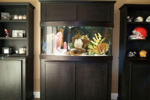 Picture of a home aquarium mounted in black cabinetry.