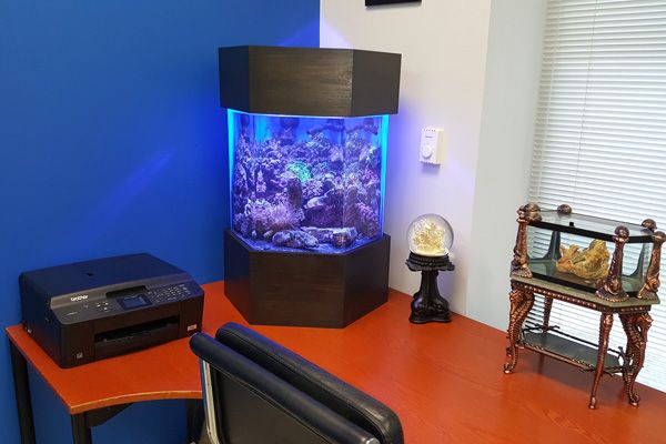 Picture of a home aquarium sitting atop an office desk. 