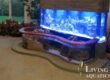 A clean acrylic aquarium by Living Art Aquatics