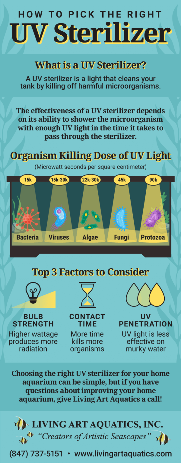 How Will a UV Sterilizer Benefit My Home Aquarium?