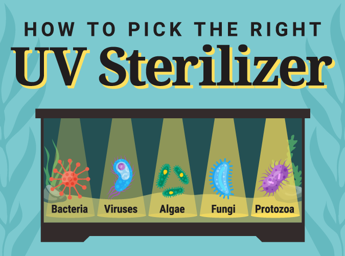 Image of the headlines from the UV Sterilization featured image.