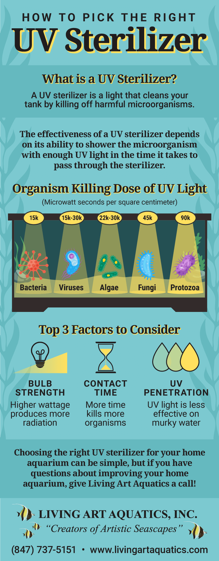 How Will a UV Sterilizer Benefit My Home Aquarium