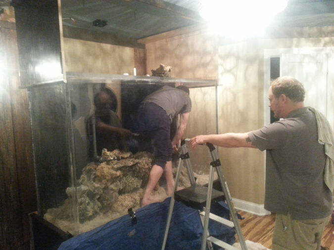 An image showing two workers assembling a custom-built aquarium.