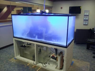 A large aquarium being maintained