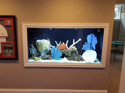 Custom Aquarium built into the wall of a home