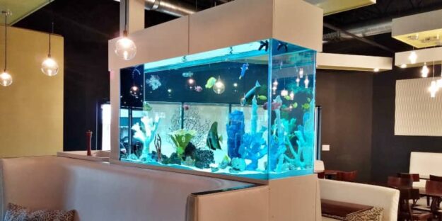 Commercial Fish Tanks A commercial fish tank at a restaurant