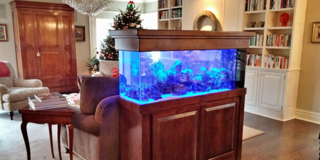 A custom aquarium design that complements a room