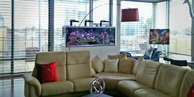 Home Aquariums Home aquariums in a living room