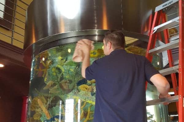 Worker performing aquarium maintenance