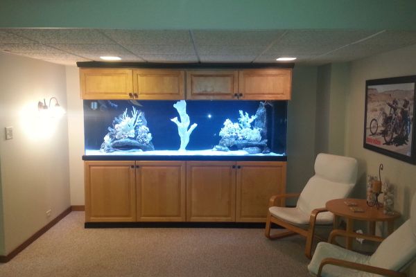 Custom-built aquarium with wood cabinet