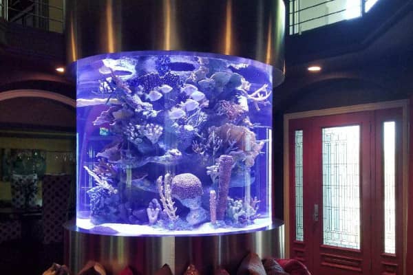 Round custom aquarium at a business