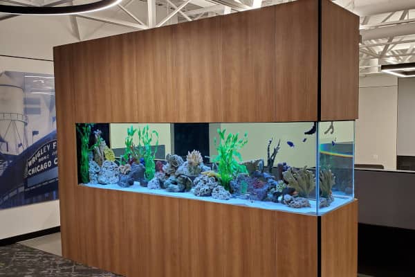Aquarium inside custom cabinetry