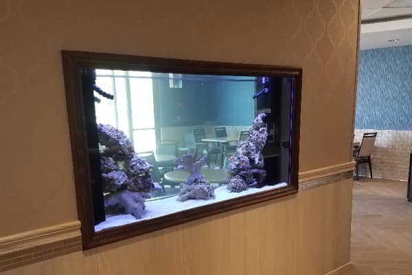 Professionally installed commercial aquarium
