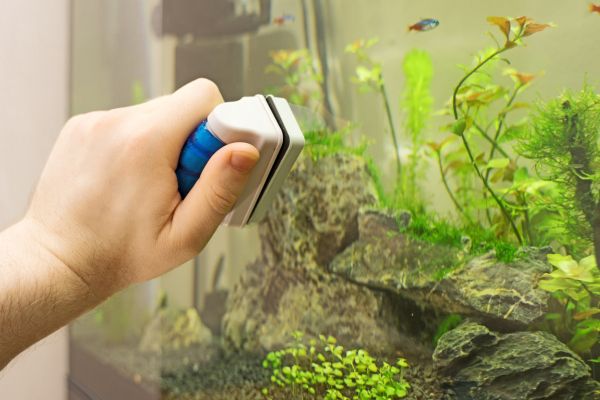Person’s hand using a device to clean an aquarium