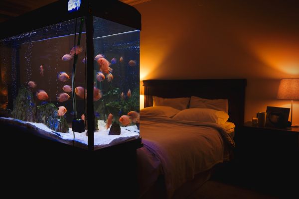 Large aquarium at the foot of a bed