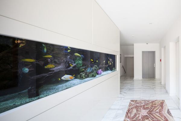 A wall-mounted aquarium in the hallway of a luxury home