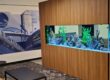 A custom stand created by Living Art Aquatics