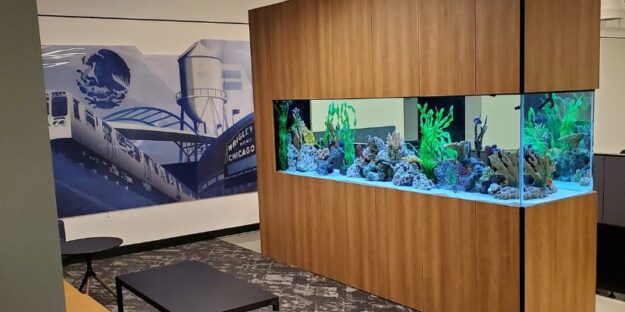 A custom stand created by Living Art Aquatics