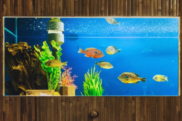 A fish tank sits in a custom cabinet